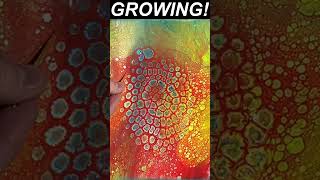 🦎 Chameleon Cell Acrylic Pour 🎨 - Mind-Blowing Fluid Art Technique #shorts #fluidacrylics