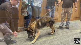 K 9 Oliver Retires from Springdale Police Department