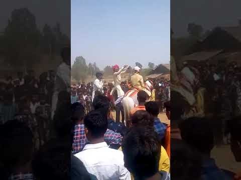 pakistani-indian-funny-groom-falls-from-horse
