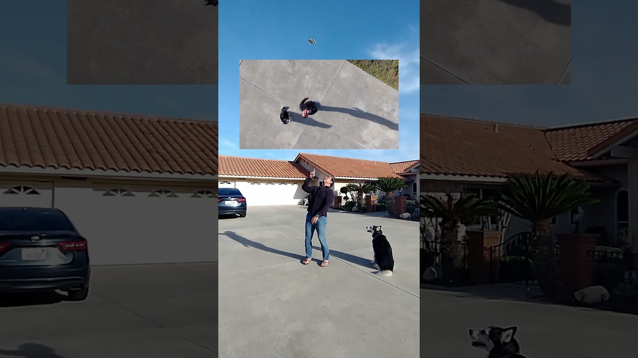 DJI NEO — демонстрация режима Rocket 