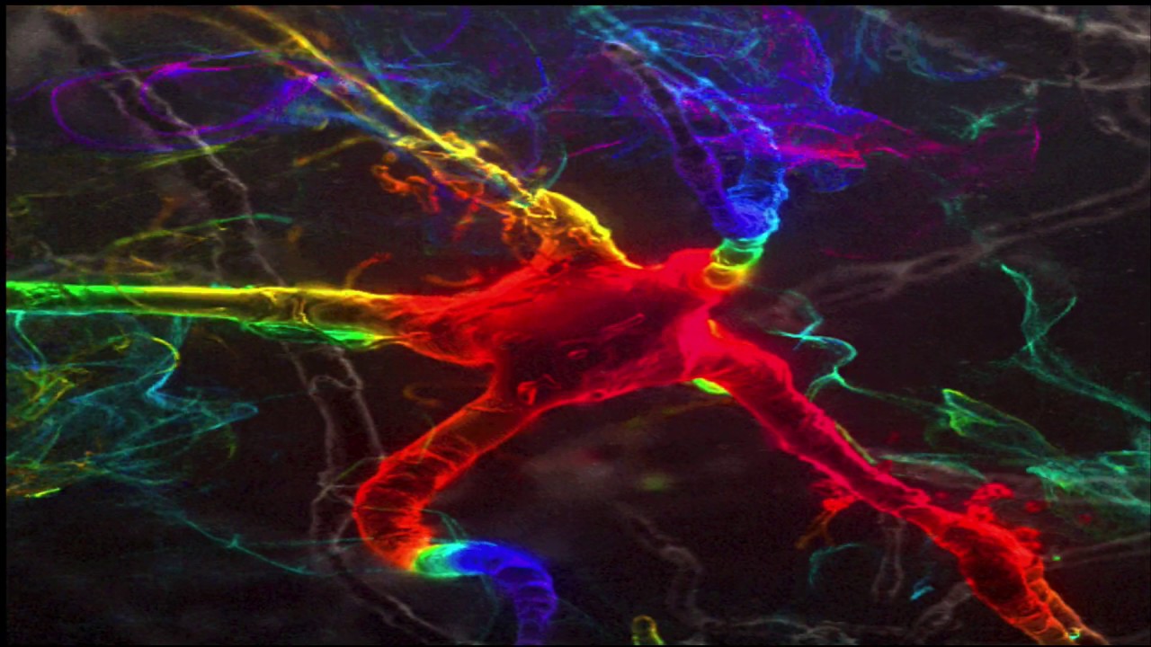 Neon Neuron - YouTube