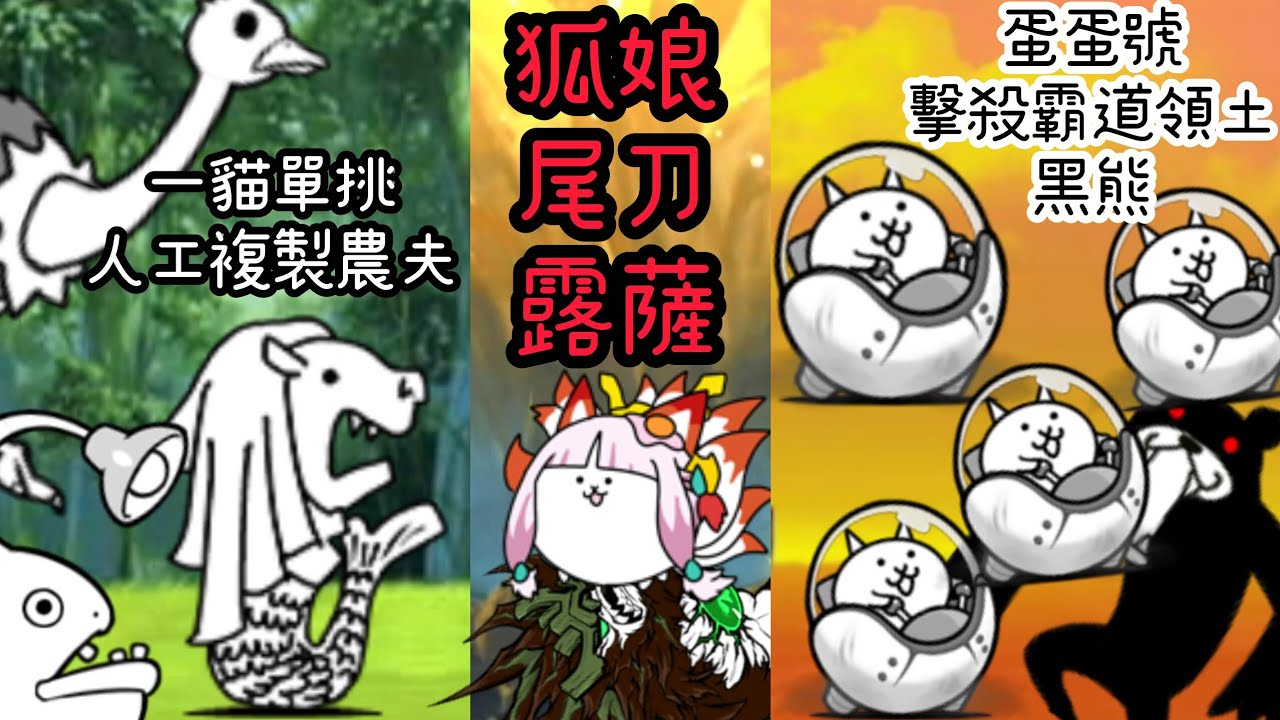 貓咪大戰爭 安價小戰爭EP10 來選選過往沒選過的安價嘍~