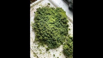 Making a mountain with tunnels out of foam: from start to finish #diorama #diy #landscape