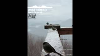 Cengiz Kurtoğlu - Sensiz Yaşamak