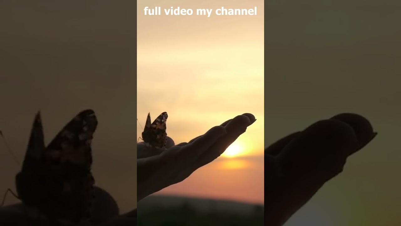 Free Background Music For Youtube Videos No Copyright Download (Alpine