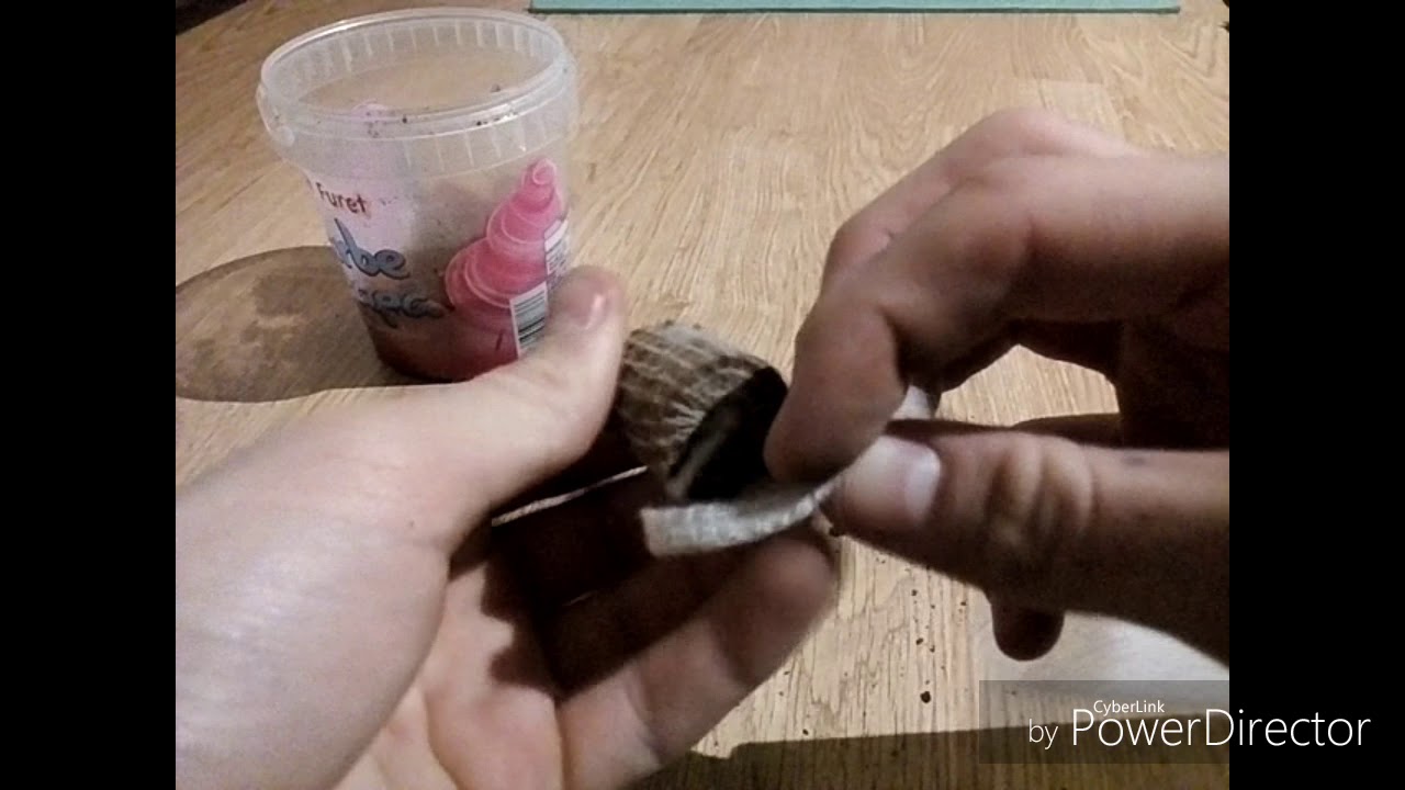 COMMENT RÉALISÉ UN STICK PVA - YouTube