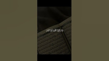 #تلاوة_قرآن #القرآن_الكريم #qurankareem #quranforthesoul #quran #تلاوة_مؤثرة #خشوع #تلاوة_خاشعة