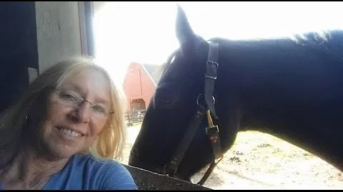 In Memory of Teresa Carper