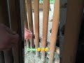Схемарь Zigizmynd юмор прикол Top смех ржака топ шутки Funny Comedy Warszawa эмигрант Схемарь Zigizmynd юмор прикол Top смех ржака топ шутки Funny Comedy Warszawa эмигрант