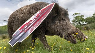 Spear Hunting Wild Boar!! Spear Hunting Wild Boar!!
