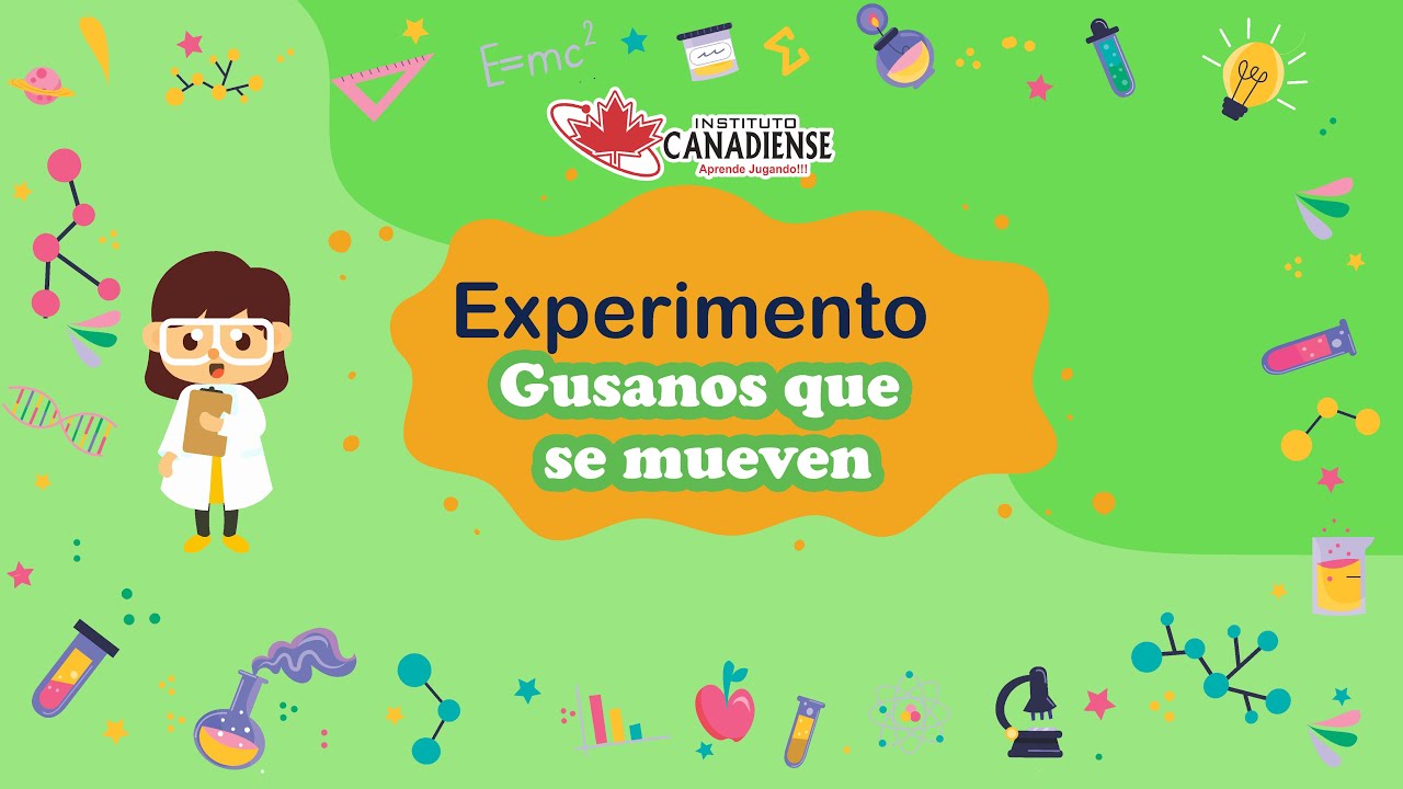 Experimento Gusanos que crecen