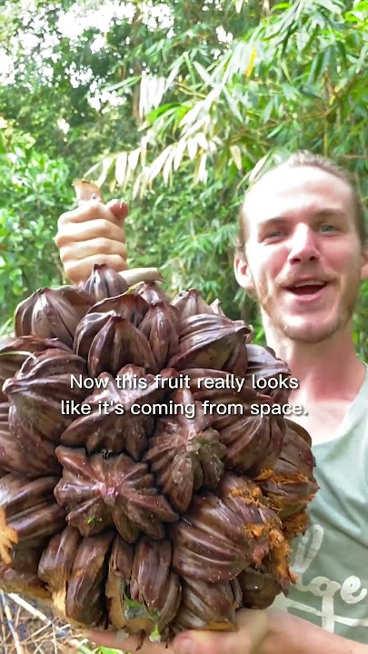 Top 5 Alien Fruits