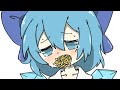 Cirno is not funny anymore  touhou random