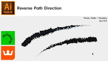 Reverse Path Direction in Illustrator | VectorScribe