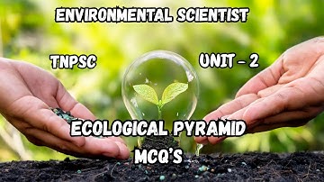 Ecological pyramid - Environmental Scientist / Assistant Engineer - TNPSC Exam