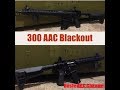 300 Blackout Build