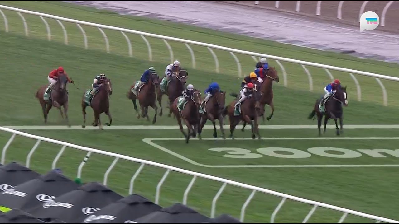 澳洲冠軍錦標 Champions Stakes 一級賽 G1 2000m 2025-11-08 精緻之道 Via Sistina 費明頓馬場 Flemington Racecourse