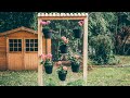 Cómo hacer un jardin vertical paso a paso - Programa completo - Bricomanía