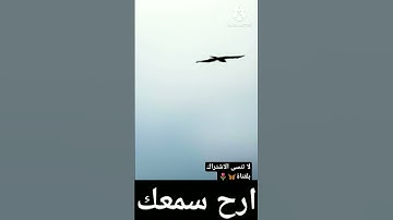 اسمع تلاوه جميله تريح القلب