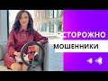 Мошенники в интернете (при аренде квартиры)