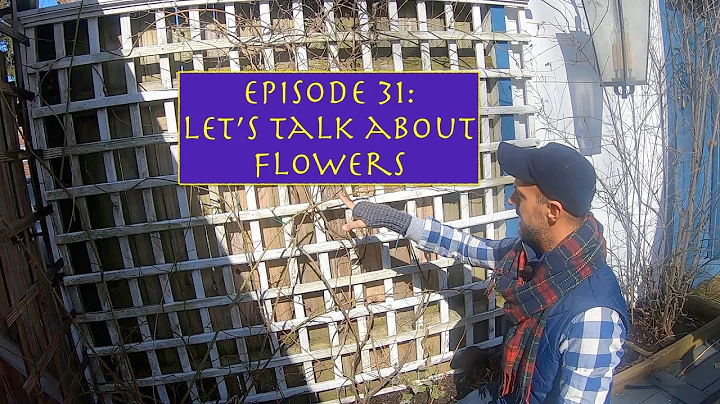 Episode 31:  Let's Talk About Flowers