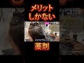メリットしかない薬剤