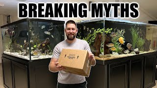 Why You Need to Order Aquarium Fish Online