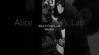 Alice In Chains. Lab Monkey. #aliceinchains #warwick #bass #musicgenre #warwick #music #rock