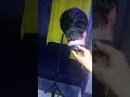 how to make your skull cap wig 2025