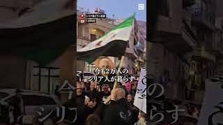 イスラエル占領地で暮らす「シリア人」　祖国への期待と不安