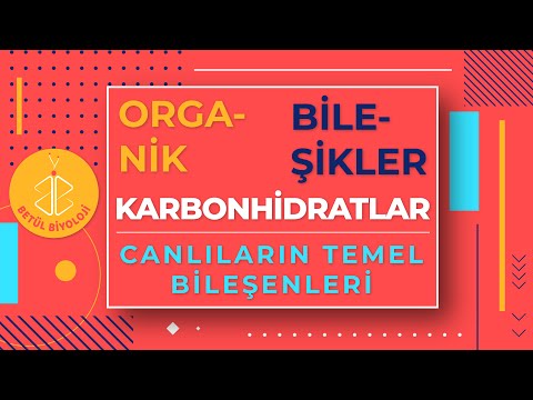 Karbonhidratlar Konu Anlatımı | 9. Sınıf | TYT Biyoloji