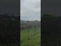 One Less Frayed End Have To Consider