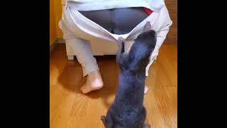 #funny #respect #fail #nature #animals #amazing #moments #shorts #recommended #viral #freefire