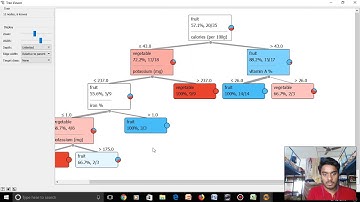 link spam detection using decision trees in orange (data mining)