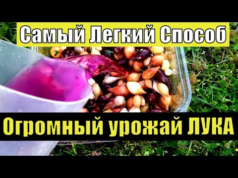 СДЕЛАЙТЕ ЭТО ПРИ