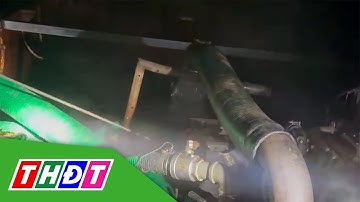 An Giang: Bắt quả tang vụ khai thác cát trái phép trên sông Tiền | THDT