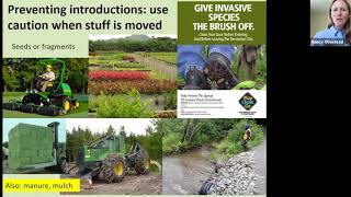 Invasive Plant Management