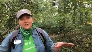 Weaver Park Live Connecting You With Nature - Oct. 7, 2020