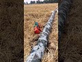 Watering the Fields: High-Pressure Flexible Irrigation Hose