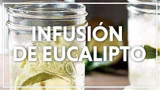 Infusión de Eucalipto y Miel debes tomarla 2 veces por semana para ver  resultados | #ChefOropeza - YouTube