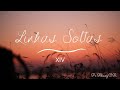 Linhas soltas xiv