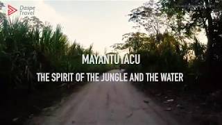 Mayantuyacu, The Boiling River Of The Peruvian Amazon