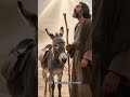 Numbers 22 Explained – Balaam’s Donkey & God’s Plan | Christ in the Unexpected