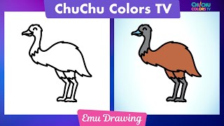 Easy Emu Drawing for Beginners | Step-by-Step Tutorial | ChuChu Colors TV