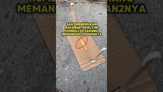 This Ant Calls Its Friends When It Finds Food shorts