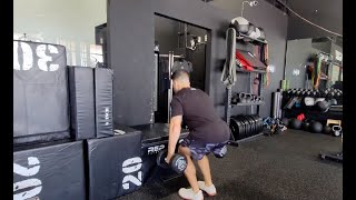 Dumbbell Box Jumps