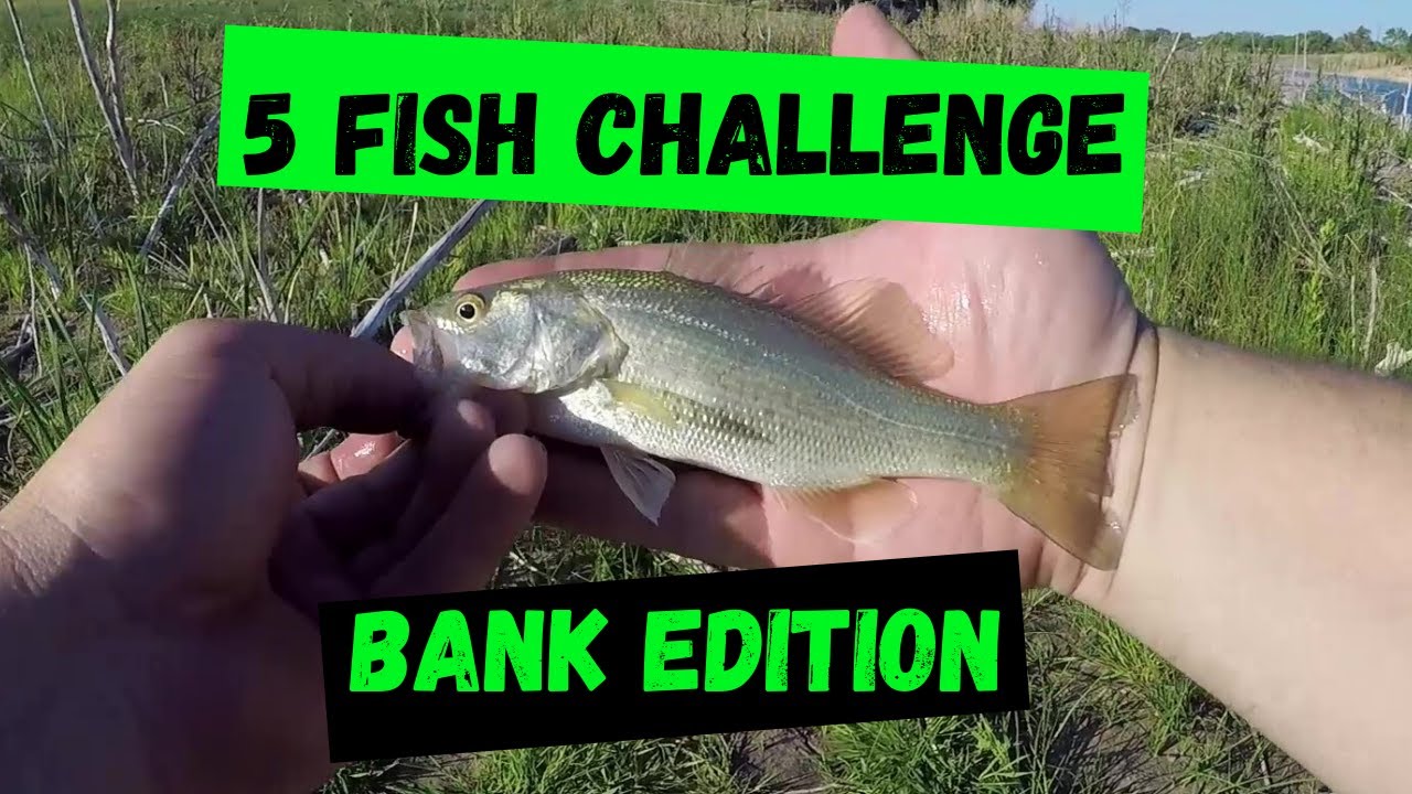5 Fish Challenge Bank Fishing Edition YouTube