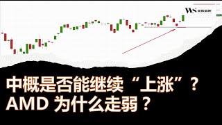 中概股集体上涨未来关注什么？美股$AAPL、$AMD、$SPX 点位分析