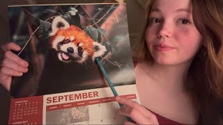 ASMR-Tracing/Explaining an Animal Calendar🐅🐊🦭