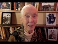 A Farewell for Dr. Francis Collins: Jane Goodall